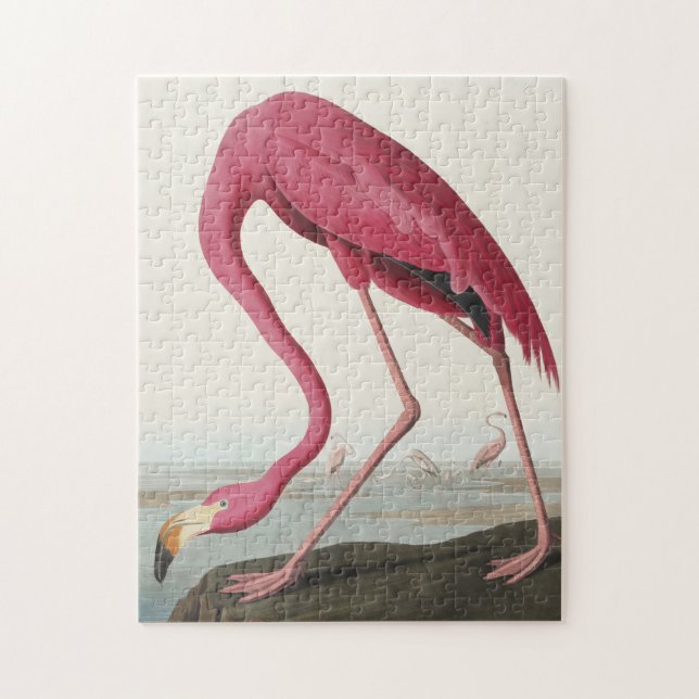 Quebra-cabeça Flamingo rosa das aves da América (Vertical)