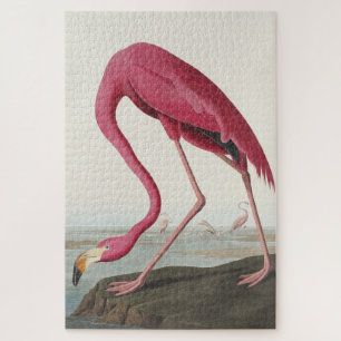 Quebra-cabeça Flamingo rosa das aves da América
