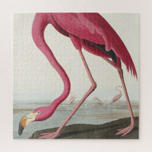 Quebra-cabeça Flamingo rosa das aves da América