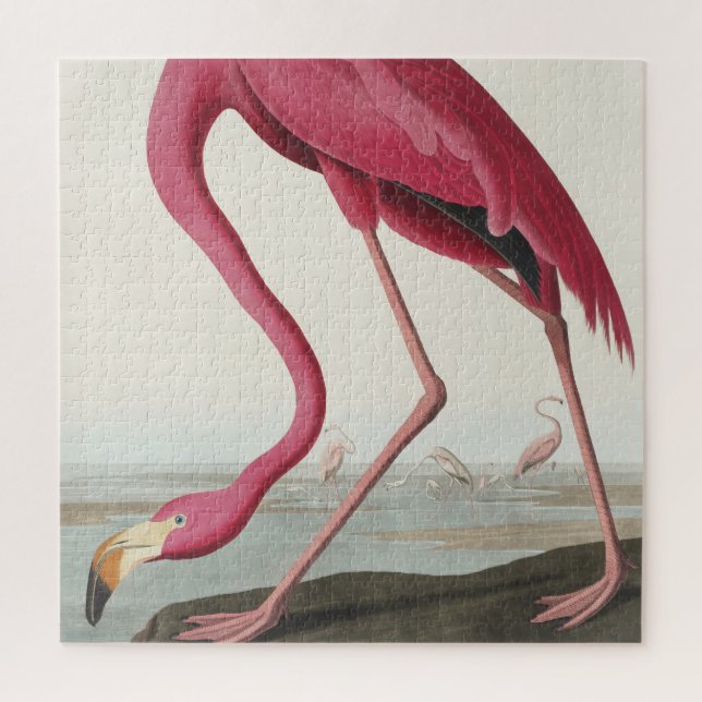Quebra-cabeça Flamingo Rosa de Birds of America (Vertical)