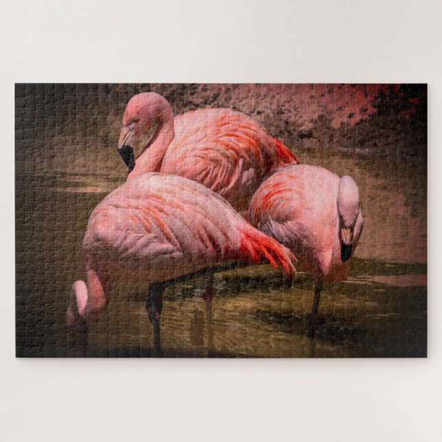Quebra-cabeça Flamingos (Horizontal)