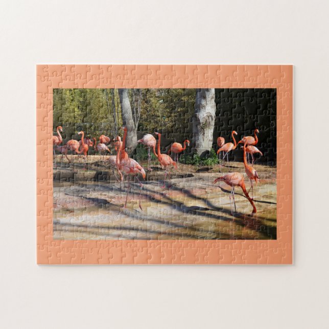 Quebra-cabeça Flamingos (Horizontal)