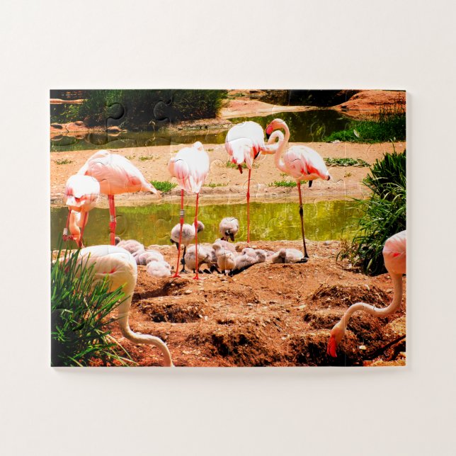 Quebra-cabeça Flamingos e aves pintinhos (Horizontal)