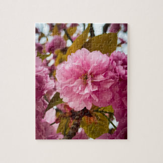 Quebra-cabeça fleur - FOTO