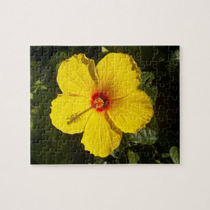 Quebra-cabeça Flor amarela do hibiscus