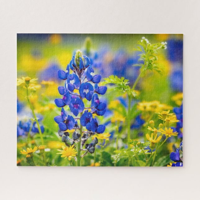 Quebra-cabeça Flor Bluebonnet do Texas com amarelo (Horizontal)