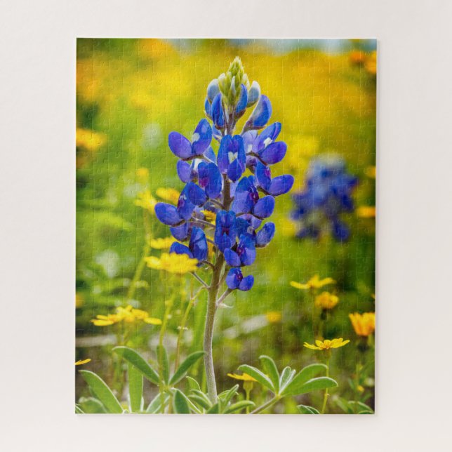 Quebra-cabeça Flor Bluebonnet do Texas com amarelo (Vertical)