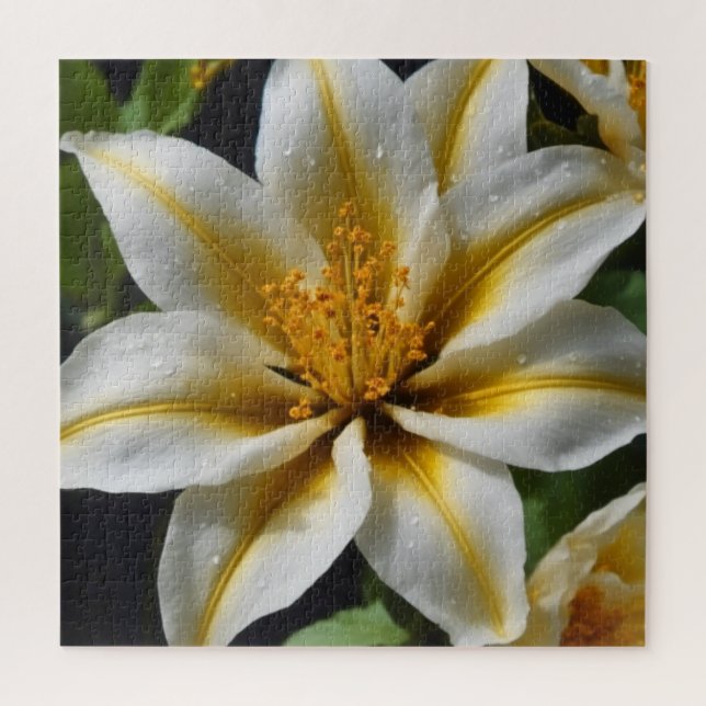 Quebra-cabeça Flor branca com acentos amarelos (Vertical)