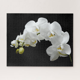 Quebra-cabeça Flor branca da orquídea