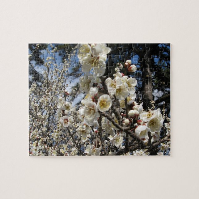 Quebra-cabeça Flor branco de cereja / Sakura / ク サ(桜) (Horizontal)