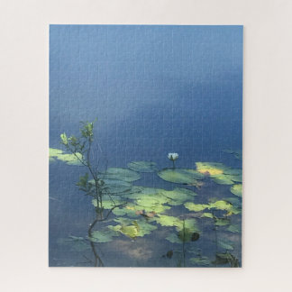 Quebra-cabeça Flor branco de lírio na água azul
