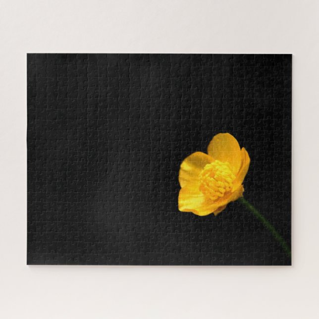 Quebra-cabeça Flor Buttercup 16x20 520pc jpcn (Horizontal)