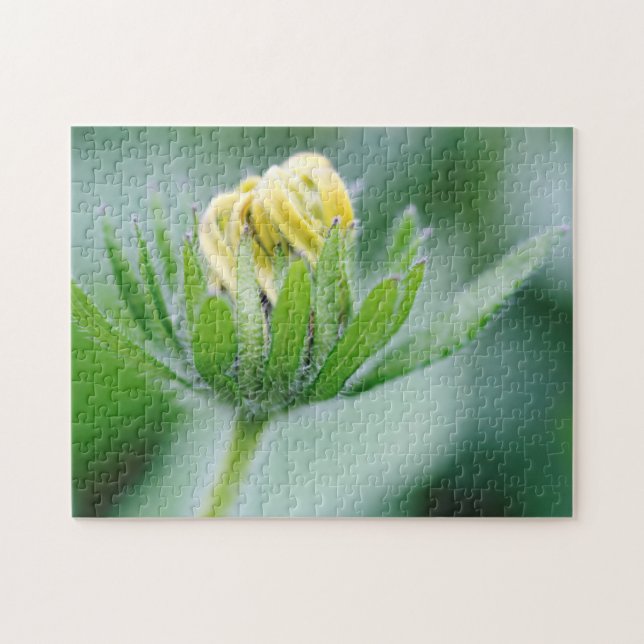 Quebra-cabeça Flor De Abertura Da Flor Cone (Horizontal)