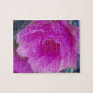 Quebra-cabeça Flor de Cactusouriço Rosa (Echinocereus