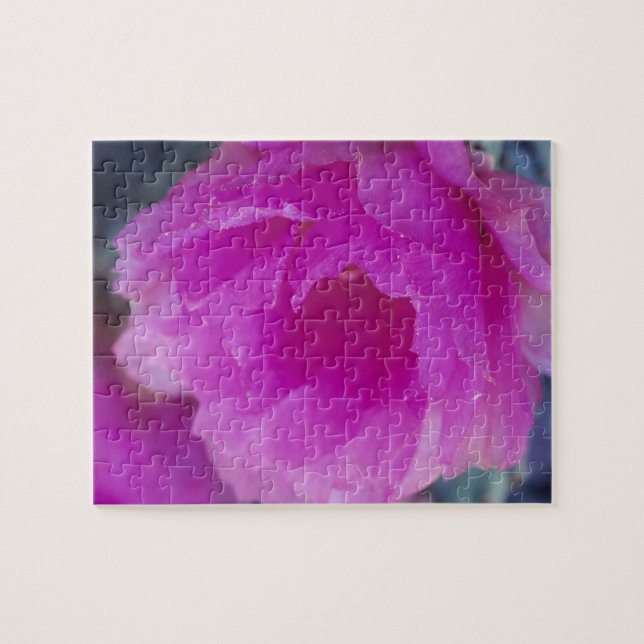 Quebra-cabeça Flor de Cactusouriço Rosa (Echinocereus (Horizontal)