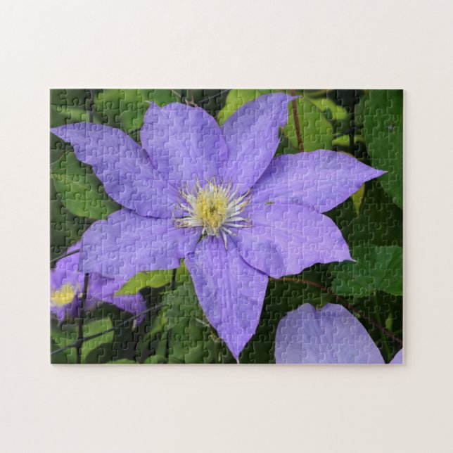 Quebra-cabeça Flor de Clematis Roxo bonito (Horizontal)
