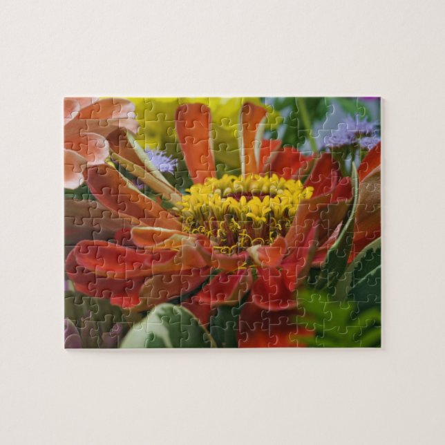 Quebra-cabeça flor de crisântemo (Horizontal)