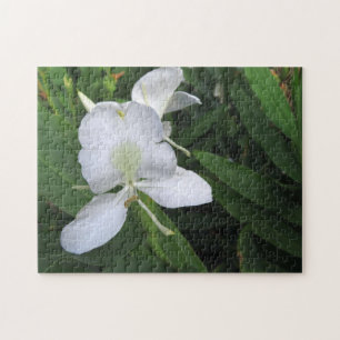 Quebra-cabeça Flor de Gengibre Branco Havaiano