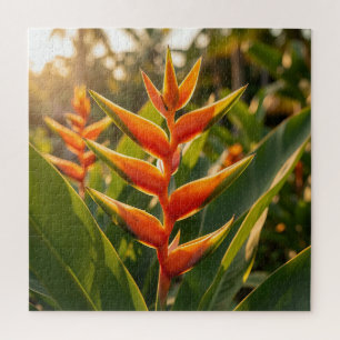 Quebra-cabeça Flor de Heliconia Laranja Hora Dourada 