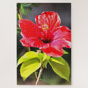 Quebra-cabeça Flor de Hibiscus Tropical Vermelha e Bonita