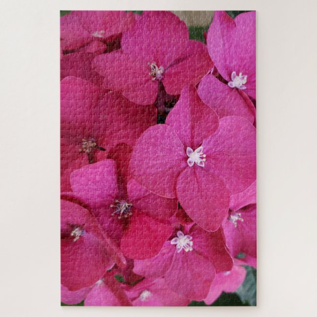 Quebra-cabeça Flor de Hortênsia Rosa Enigma (Vertical)