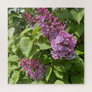 Quebra-cabeça Flor de Lilás Rosa