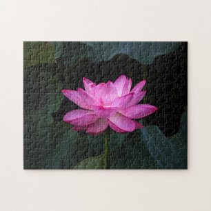 Quebra-cabeça Flor de Lotus