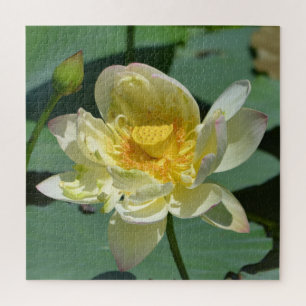 Quebra-cabeça Flor de Lotus bonito