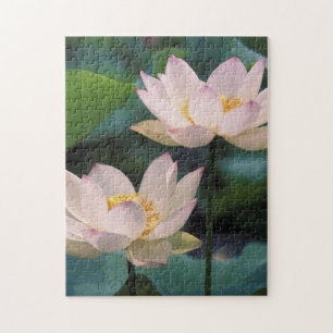 Quebra-cabeça Flor de lótus em flor, China