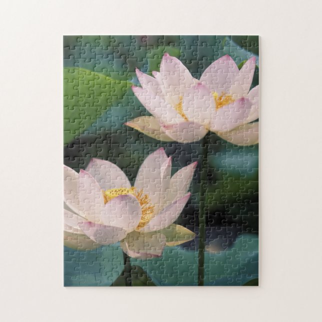 Quebra-cabeça Flor de lótus em flor, China (Vertical)