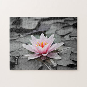 Quebra-cabeça Flor de Lotus Rosa