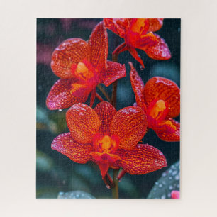 Quebra-cabeça flor de orquídea vermelha