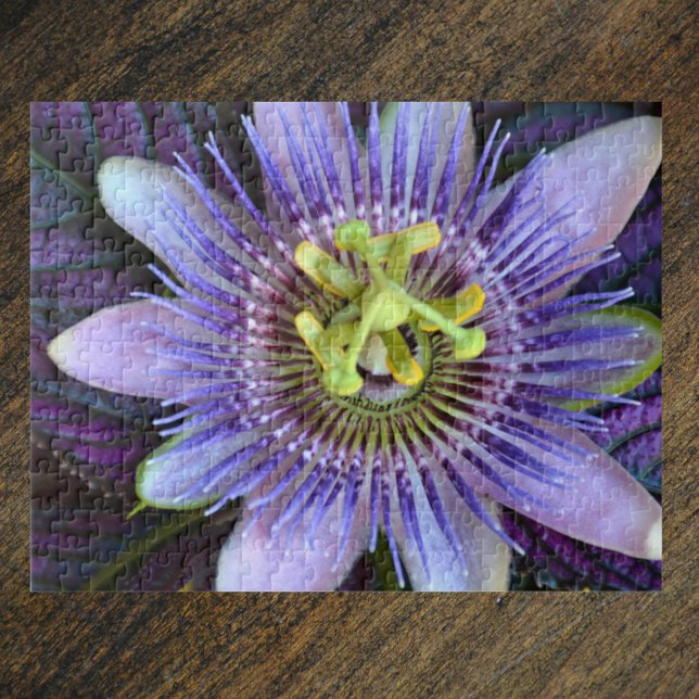Quebra-cabeça Flor de Paixão Púrpura Botânica Fotográfica (Criador carregado)