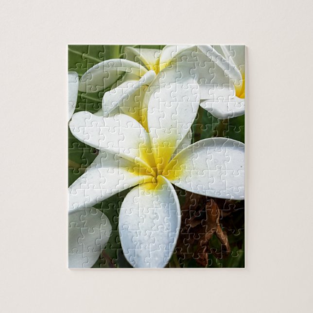 Quebra-cabeça Flor de Plumeria White Hawaii (Vertical)