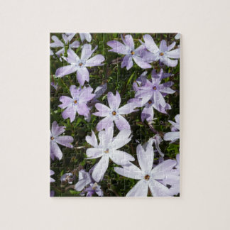 Quebra-cabeça Flor do Phlox