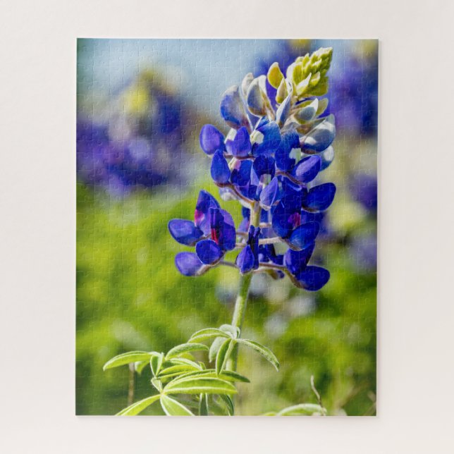 Quebra-cabeça Flor do Texas Bluebonnet (Vertical)