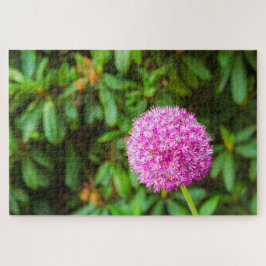 Quebra-cabeça Flor fuchsia maravilhosa em Keukenhof, Países Baix