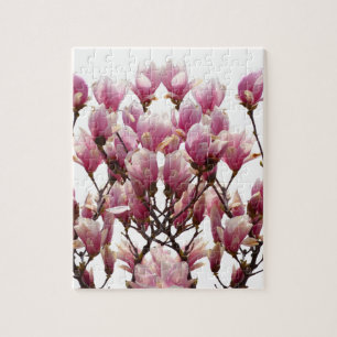 Quebra-cabeça Flor-Primavera de-Magnolias Rosa