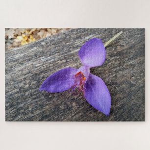 Quebra-cabeça Flor roxa num banco