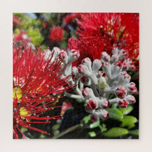 Quebra-cabeça Flor Vermelho Surgindo na Árvore Pohutukawa, Nova