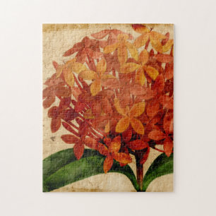 Quebra-cabeça Floral III vibrante