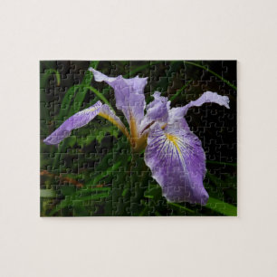 Quebra-cabeça Floral Púrpura da Flor Iris Selvagem