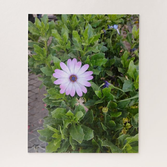 Quebra-cabeça Flores  (Vertical)