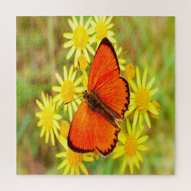 Quebra-cabeça Flores Amarelas da Borboleta Laranja Brilhante (Vertical)