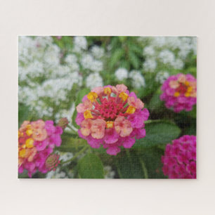 Quebra-cabeça Flores Amarelas e Brancas Rosa no Jardim