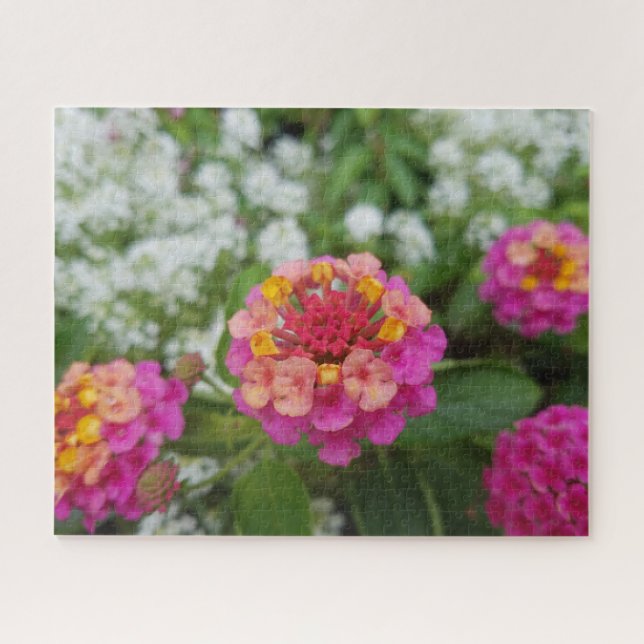 Quebra-cabeça Flores Amarelas e Brancas Rosa no Jardim (Horizontal)