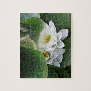 Quebra-cabeça Flores Brancas De Lotus, Botânicas