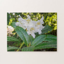 Quebra-cabeça Flores Brancas de Rhododendron, Allan Park, Norlan
