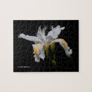 Quebra-cabeça Flores Brancas Iris Detidas Japonesas Elegantes