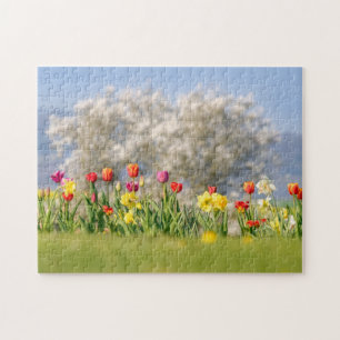 Quebra-cabeça Flores Coloridas de primavera com Tulipas e Daffod